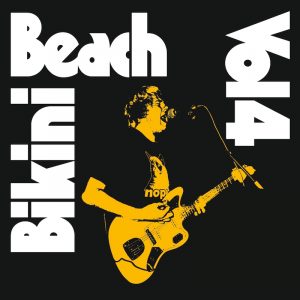 Bikini_Beach_Vol4_Cover